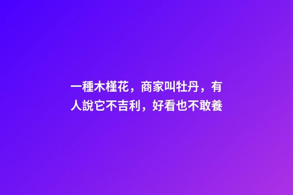 一種木槿花，商家叫牡丹，有人說它不吉利，好看也不敢養