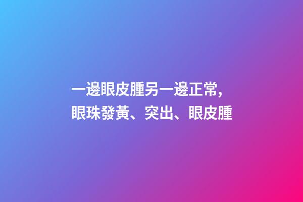 一邊眼皮腫另一邊正常,眼珠發黃、突出、眼皮腫-第1張-觀點-玄機派