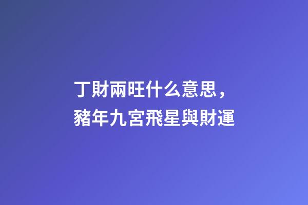 丁財兩旺什么意思，豬年九宮飛星與財運-第1張-觀點-玄機派