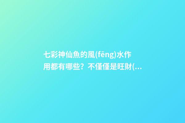 七彩神仙魚的風(fēng)水作用都有哪些？不僅僅是旺財(cái)