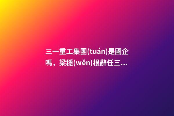 三一重工集團(tuán)是國企嗎，梁穩(wěn)根辭任三一重工董事長-第1張-觀點(diǎn)-玄機(jī)派