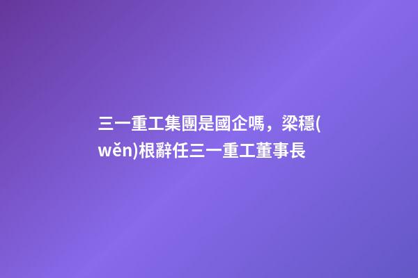 三一重工集團是國企嗎，梁穩(wěn)根辭任三一重工董事長-第1張-觀點-玄機派