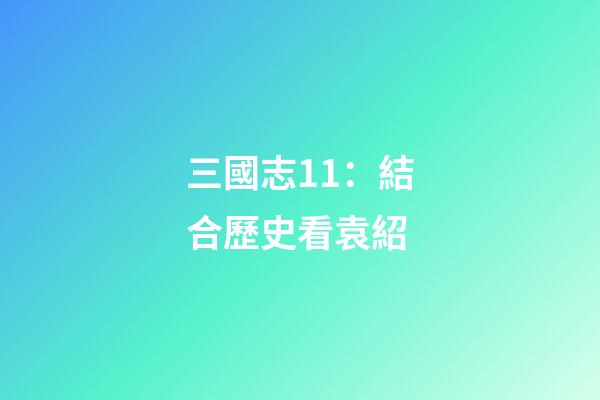 三國志11：結合歷史看袁紹-第1張-觀點-玄機派