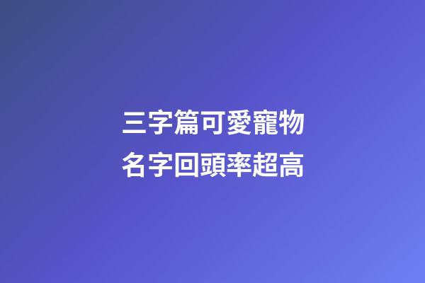 三字篇可愛寵物名字回頭率超高