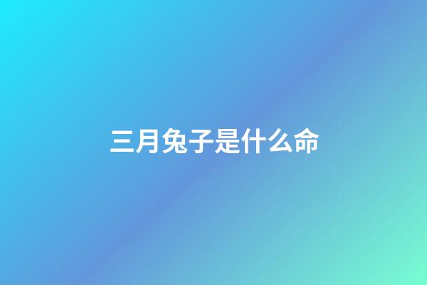 三月兔子是什么命(3月菩薩保佑肖兔、發一大筆橫財)-第1張-觀點-玄機派