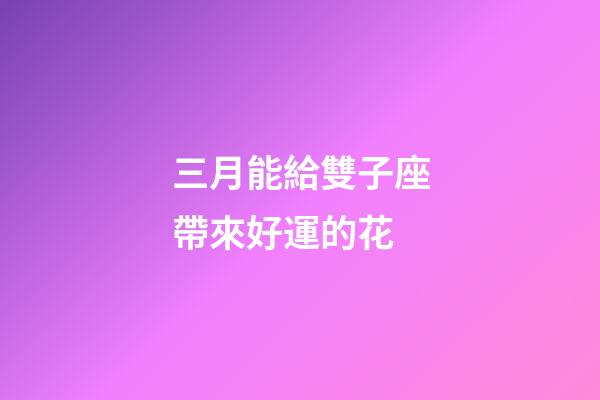 三月能給雙子座帶來好運的花-第1張-星座運勢-玄機派