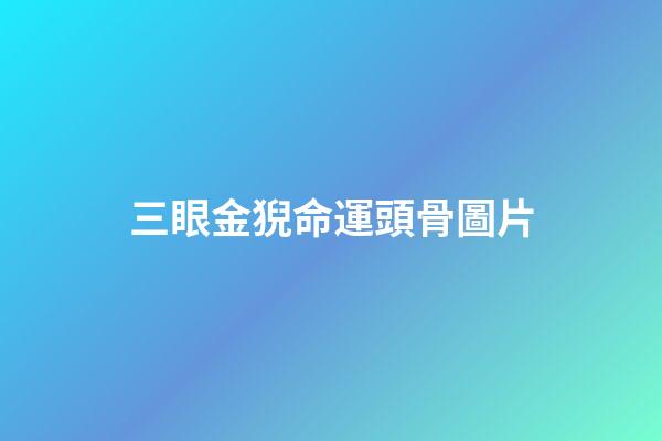 三眼金猊命運頭骨圖片(終極斗羅：比十大兇獸更珍貴的超級魂獸，實力讓帝天忌憚)-第1張-觀點-玄機派