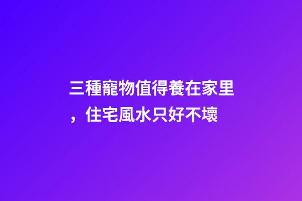 三種寵物值得養在家里，住宅風水只好不壞