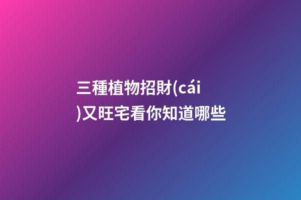 三種植物招財(cái)又旺宅看你知道哪些