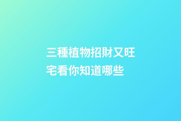 三種植物招財又旺宅看你知道哪些