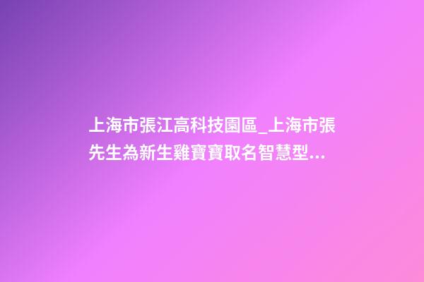 上海市張江高科技園區_上海市張先生為新生雞寶寶取名智慧型套餐-第1張-公司起名-玄機派