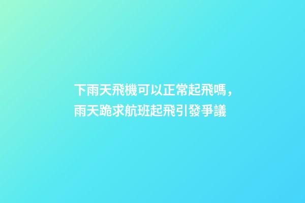 下雨天飛機可以正常起飛嗎，雨天跪求航班起飛引發爭議-第1張-觀點-玄機派