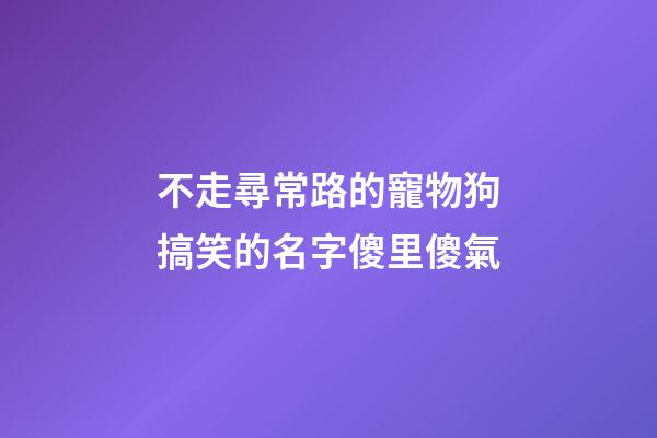 不走尋常路的寵物狗搞笑的名字傻里傻氣