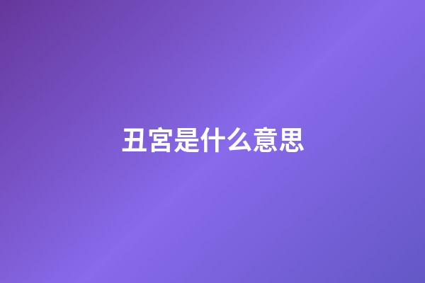 丑宮是什么意思