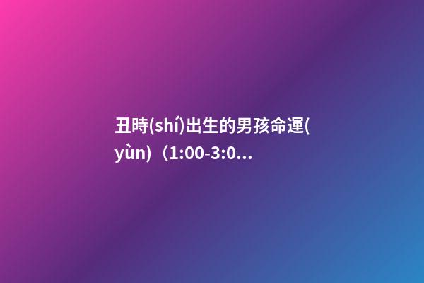 丑時(shí)出生的男孩命運(yùn)（1:00-3:00）