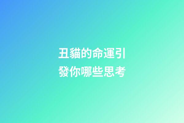 丑貓的命運引發你哪些思考(小說：美女闖進監獄，狂熱者紛紛逃竄)-第1張-觀點-玄機派