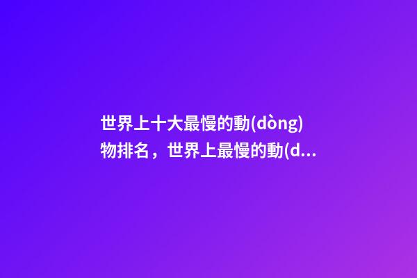 世界上十大最慢的動(dòng)物排名，世界上最慢的動(dòng)物
