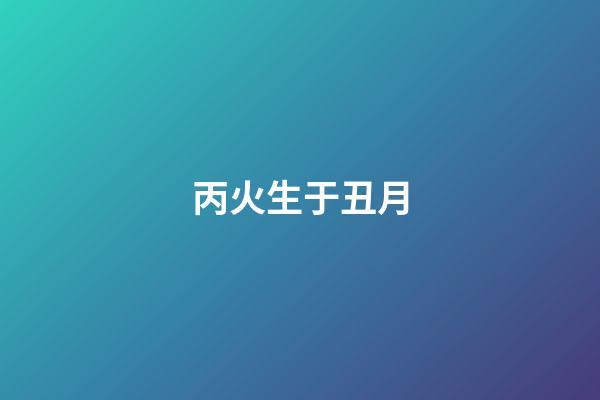 丙火生于丑月