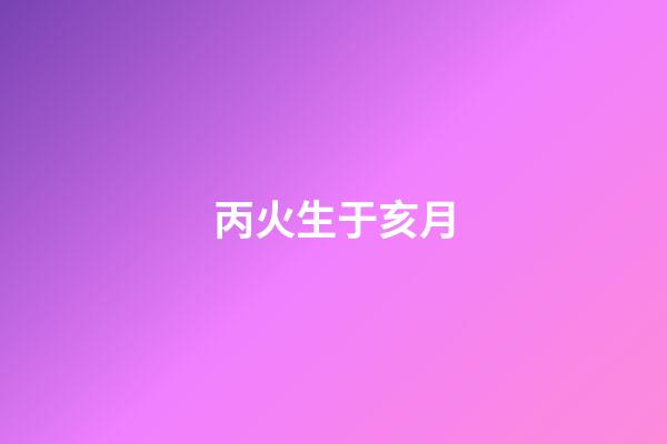 丙火生于亥月