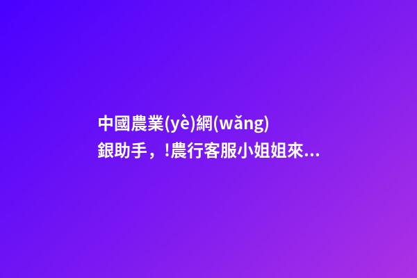 中國農業(yè)網(wǎng)銀助手，!農行客服小姐姐來教你-第1張-觀點-玄機派