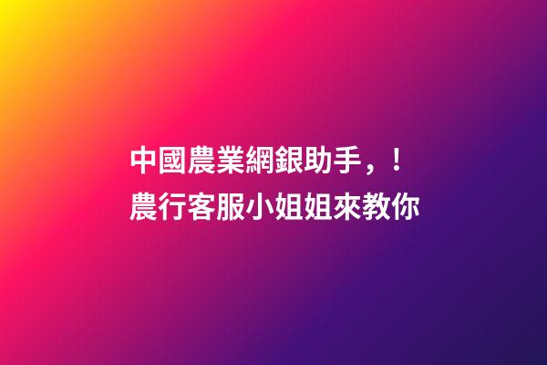 中國農業網銀助手，!農行客服小姐姐來教你-第1張-觀點-玄機派