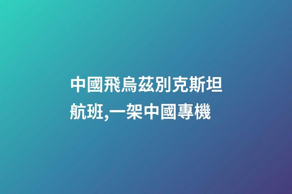 中國飛烏茲別克斯坦航班,一架中國專機-第1張-觀點-玄機派