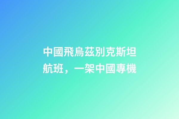中國飛烏茲別克斯坦航班，一架中國專機-第1張-觀點-玄機派
