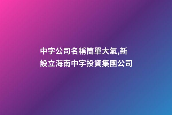 中字公司名稱簡單大氣,新設立海南中字投資集團公司-第1張-觀點-玄機派