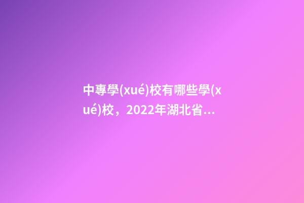 中專學(xué)校有哪些學(xué)校，2022年湖北省省屬中等職業(yè)學(xué)校(中職)所有名單(17所)-第1張-觀點(diǎn)-玄機(jī)派