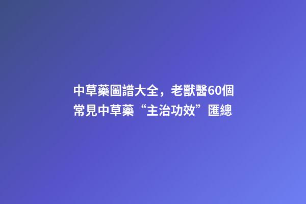 中草藥圖譜大全，老獸醫60個常見中草藥“主治功效”匯總-第1張-觀點-玄機派