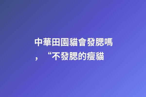 中華田園貓會發腮嗎，“不發腮的瘦貓