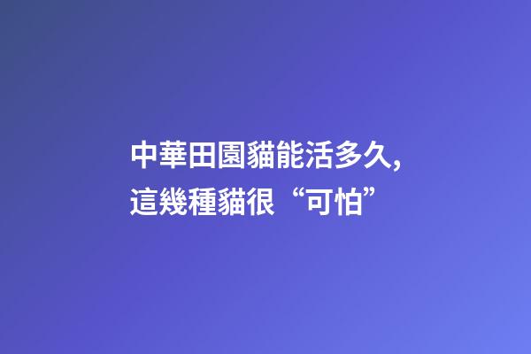 中華田園貓能活多久,這幾種貓很“可怕”-第1張-觀點-玄機派