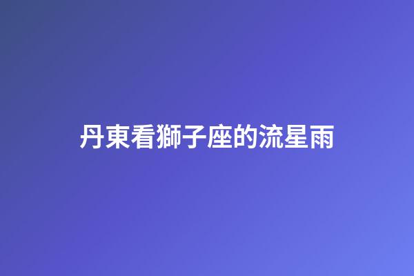 丹東看獅子座的流星雨-第1張-星座運勢-玄機派