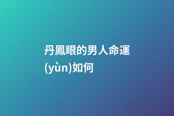 丹鳳眼的男人命運(yùn)如何(吊眼梢的性格特剖析)-第1張-觀點(diǎn)-玄機(jī)派
