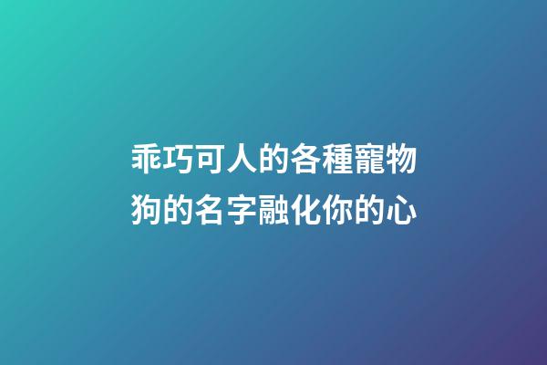 乖巧可人的各種寵物狗的名字融化你的心