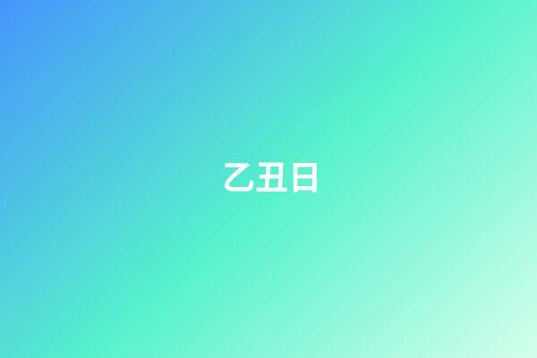 乙丑日
