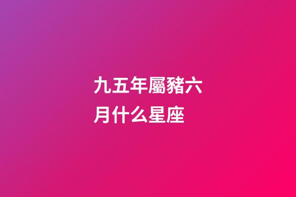 九五年屬豬六月什么星座-第1張-星座運勢-玄機派