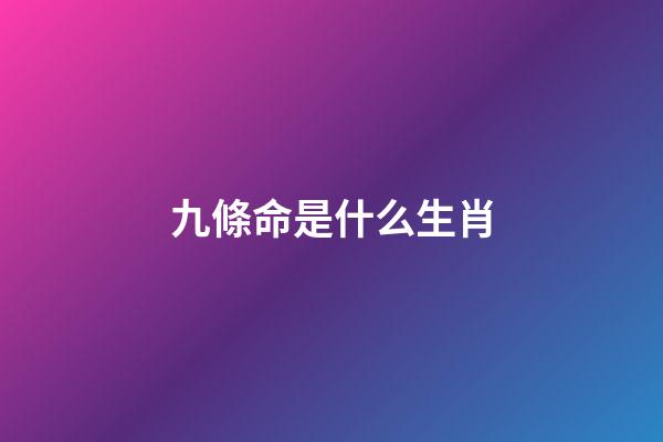 九條命是什么生肖(中國人的年夜飯怎么吃才講究？福貓金鼠齊上桌，新年全家更多福)-第1張-觀點-玄機派