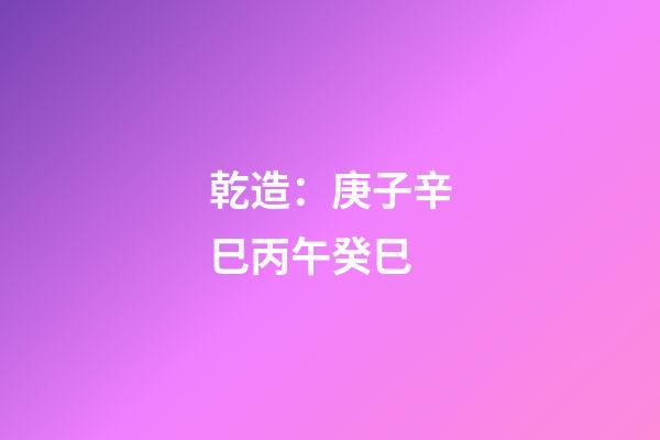 乾造：庚子辛巳丙午癸巳
