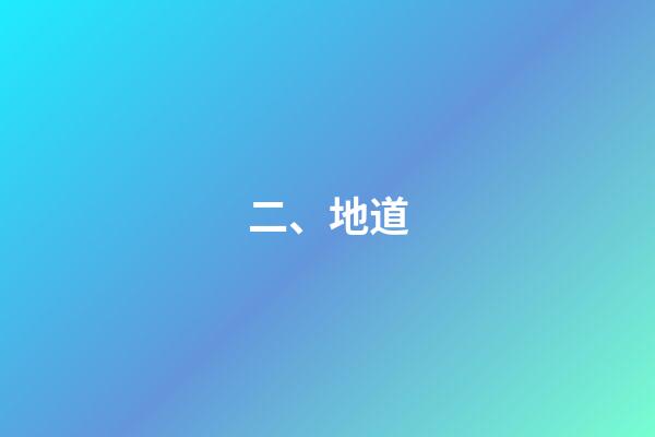 二、地道