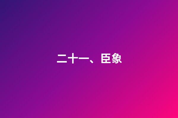 二十一、臣象
