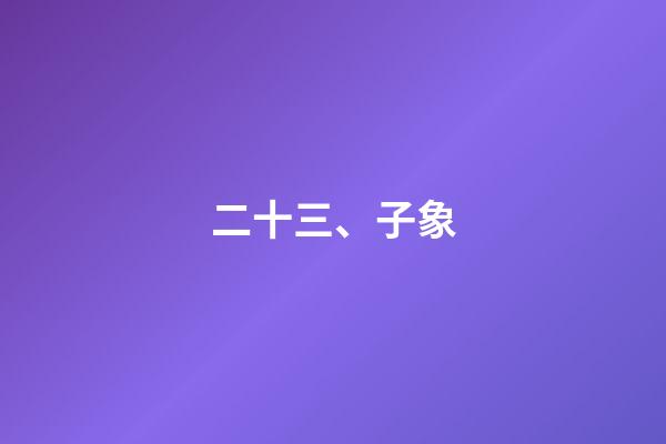二十三、子象