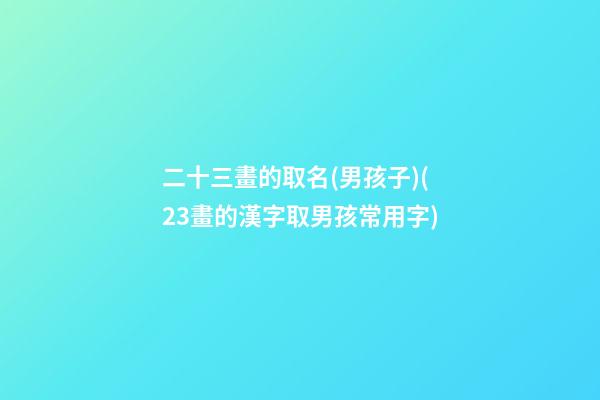 二十三畫的取名(男孩子)(23畫的漢字取男孩常用字)