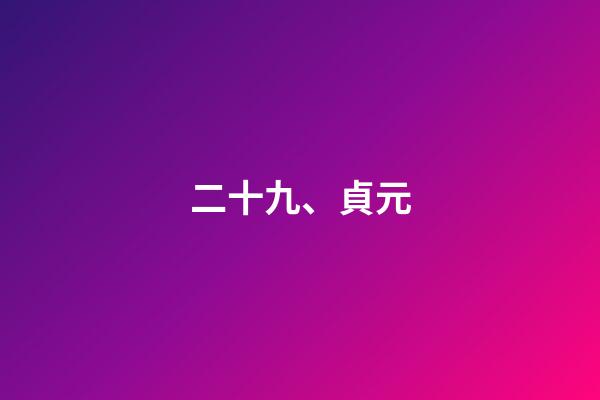 二十九、貞元