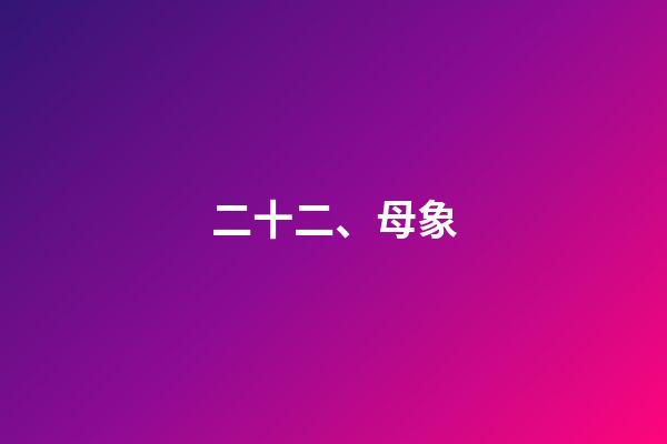 二十二、母象