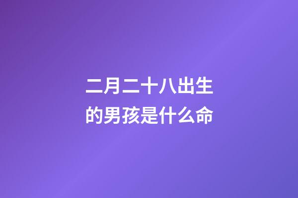 二月二十八出生的男孩是什么命(三晉名人——尉遲恭)-第1張-觀點-玄機派
