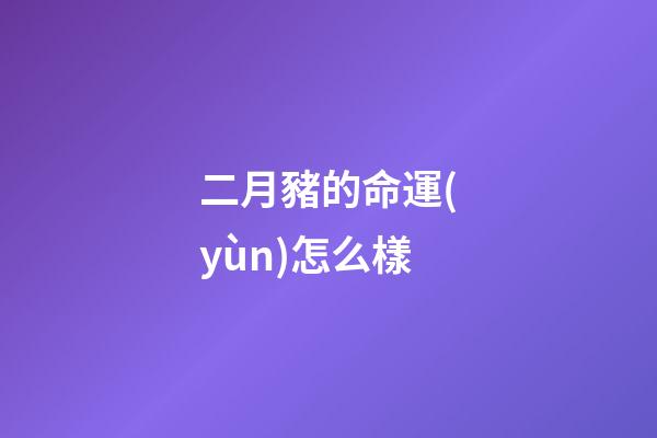 二月豬的命運(yùn)怎么樣(豬在東北面臨怎樣的命運(yùn)？地球知識(shí)局)-第1張-觀點(diǎn)-玄機(jī)派