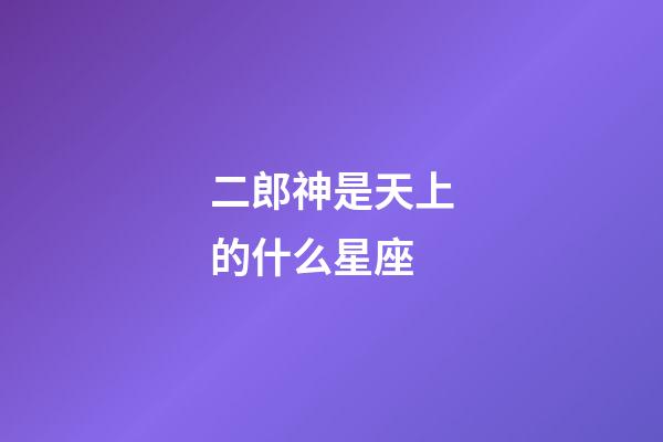 二郎神是天上的什么星座
