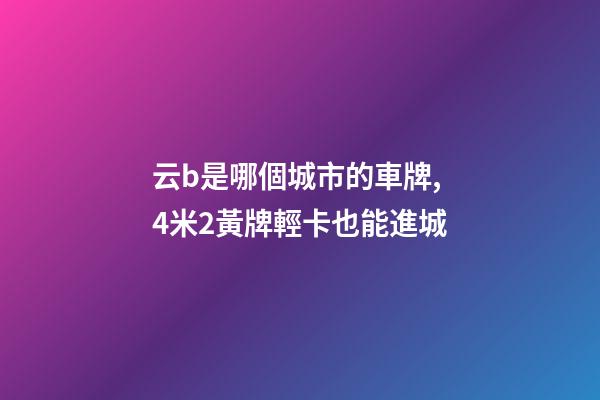 云b是哪個城市的車牌,4米2黃牌輕卡也能進城-第1張-觀點-玄機派
