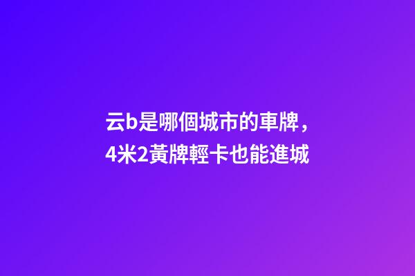云b是哪個城市的車牌，4米2黃牌輕卡也能進城-第1張-觀點-玄機派